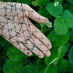 Con certificación CE ISO, red de malla antipájaros de gran peso para huertos de invernaderos