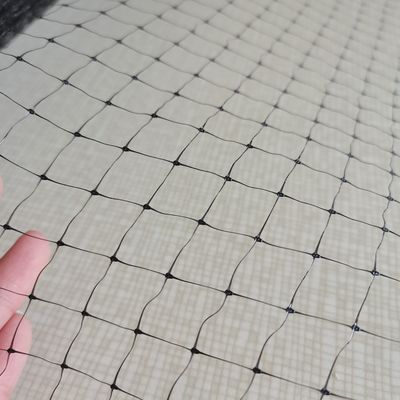 Recinto agrícola de PP tratado con UV para el control de aves e insectos con certificado CE ISO