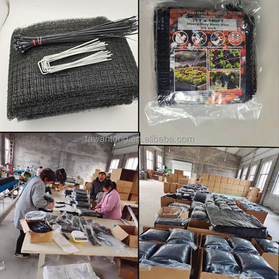 7*100 pies de material PP extrudido de malla antimoles red negra de plástico para la agricultura