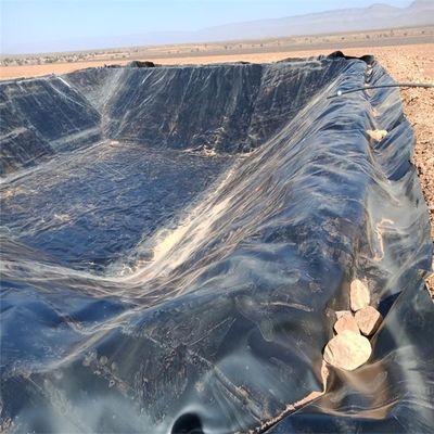 El diseño chino estilo 2mm HDPE Geomembrana para vertederos Liner presa Liner en competitivo