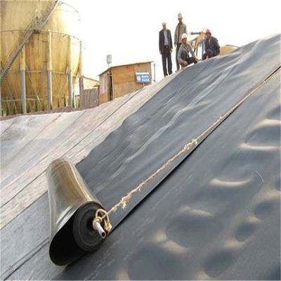 Liner de geomembrana personalizado de 1 mm para biodigestor de vertederos y estanque de pescado o camarón