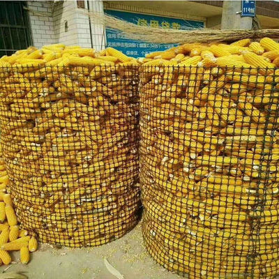 CE/ISO aprobado PP Biaxal Geogrid de plástico para la construcción de carreteras de diseño chino