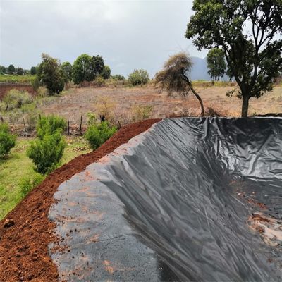 Geomembrana de HDPE de diseño chino para acuicultura
