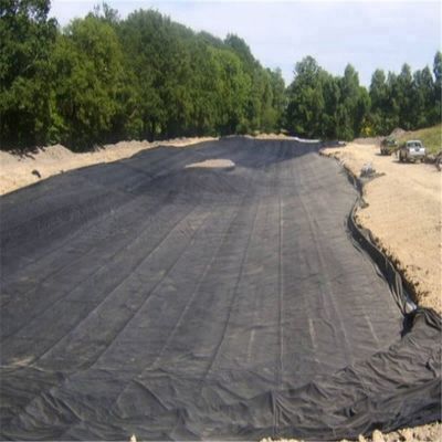 Geomembrana de plástico de HDPE negro de 2 mm de grosor para piscifactoría