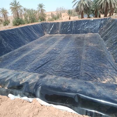 Liner de geomembrana de HDPE negro 1 mm para estanques agrícolas Impermeable 0,5 mm 0,75 mm 1,5 mm