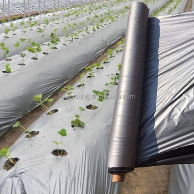 Película de cobertura de plástico de plata para el cultivo agrícola de tomates y papas de rendimiento