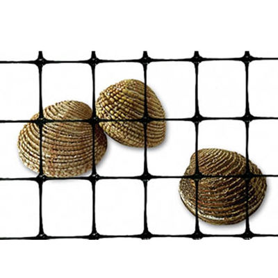 Geogrid de plástico biaxial de PP de 40-40kn para construcción de carreteras y refuerzo de cimientos