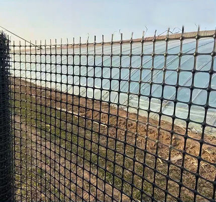 Geogrid de plástico biaxial de PP de 40-40kn para construcción de carreteras y refuerzo de cimientos
