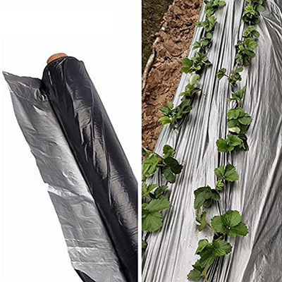 Película de cobertura de suelo agrícola de longitud personalizada para la vida útil de cultivo de piña 1-2 años