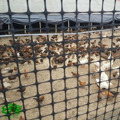 30kn PP Plastico Biaxal Geogrid para la industria de la cría Instalación in situ incluida