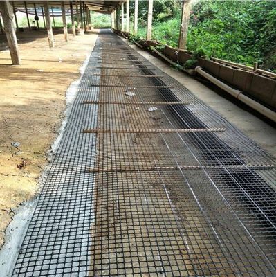 PP 3030KN Geogrid biaxial para protección de pendientes en la construcción de carreteras 12.7*12.7mm Tamaño de malla