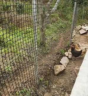 PP 3030KN Geogrid biaxial para protección de pendientes en la construcción de carreteras 12.7*12.7mm Tamaño de malla