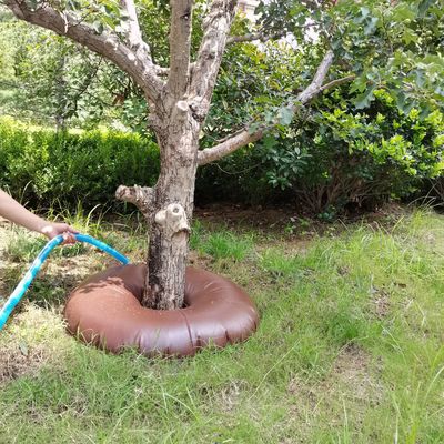 Saco de riego de árboles de PVC de 20 litros La solución definitiva para los árboles recién plantados