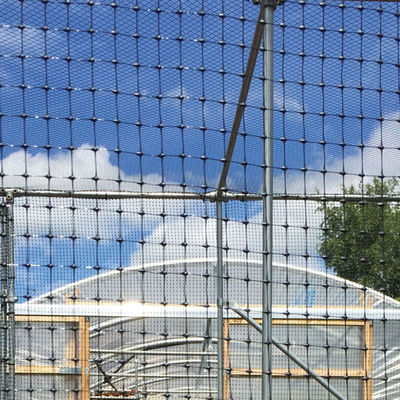 PP Biaxial Geogrid 40kn para el refuerzo de carreteras Venta de élite Negro de entrenamiento de carreteras Geo Grids