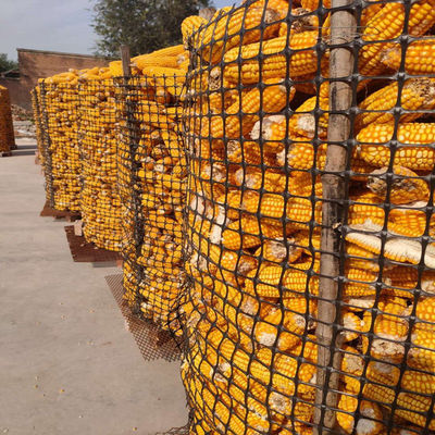 PP Biaxial Geogrid 40kn para el refuerzo de carreteras Venta de élite Negro de entrenamiento de carreteras Geo Grids
