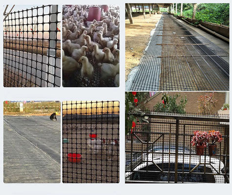 Construcción de carreteras esencial 50kn/M PP Biaxal Geogrid con certificación CE/ISO9001