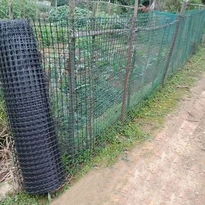 50-100m de plástico PP Biaxal Geogrid Perfecto para la construcción de ingeniería civil 30/30kn