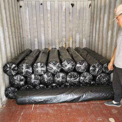 Geogrid de fibra de vidrio para el refuerzo del suelo de la carretera Refuerzo Geogrid revestido de asfalto blanco