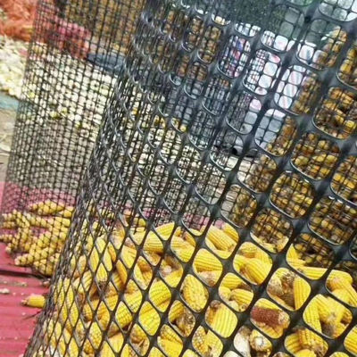 1-6 m de ancho Polipropileno de PP bi-axil Geogrid Compuesto Geotextil no tejido para la base de la carretera