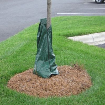 Bolsas de riego por goteo de 75L para árboles recién plantados o establecidos
